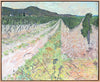 Vineyard