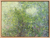 Sunlight through Foliage