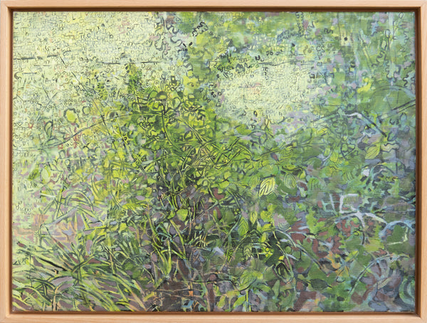 Sunlight through Foliage