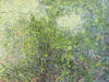 Sunlight through Foliage