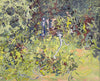 Tangled Undergrowth