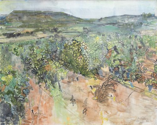 Lot Valley, Vineyard