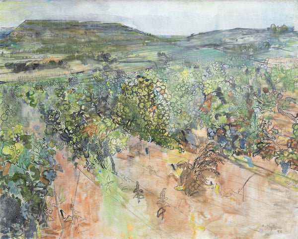Lot Valley, Vineyard