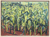 Maize Field