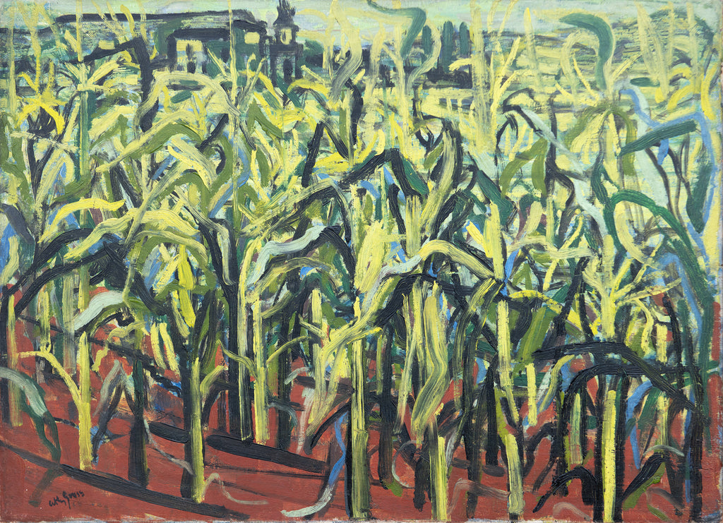 Maize Field
