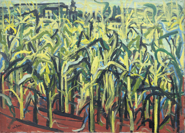 Maize Field