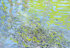 Refections on Water