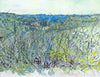 Winter Grasses