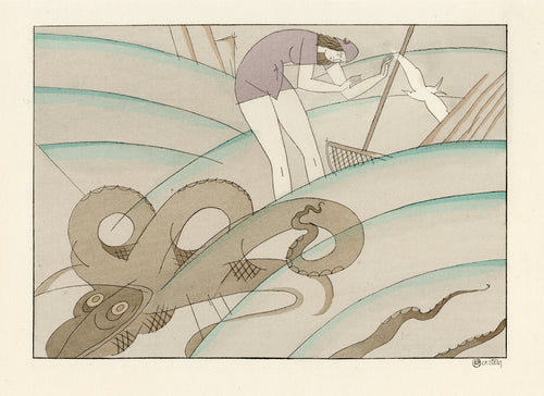 Octopus