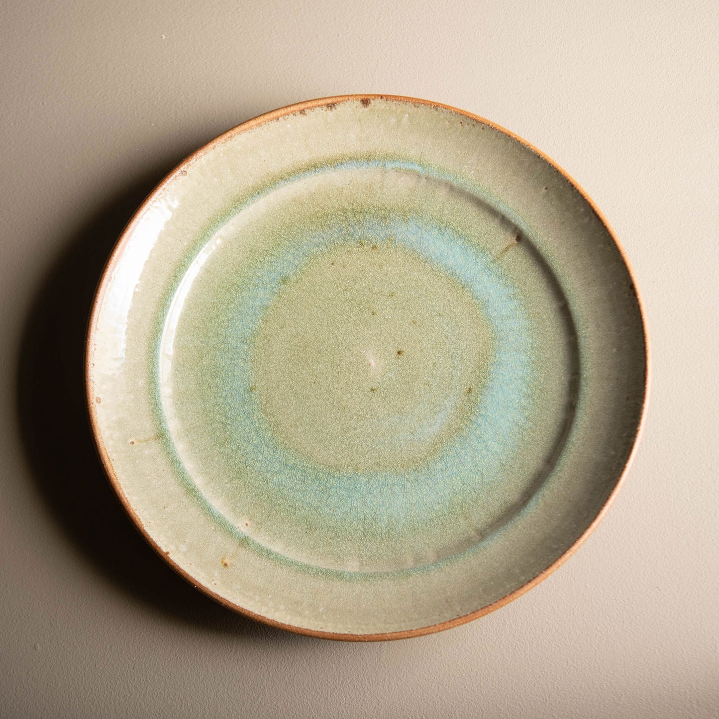 Large Dish