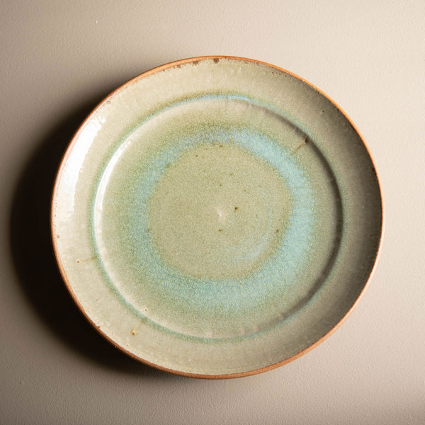 Large Dish