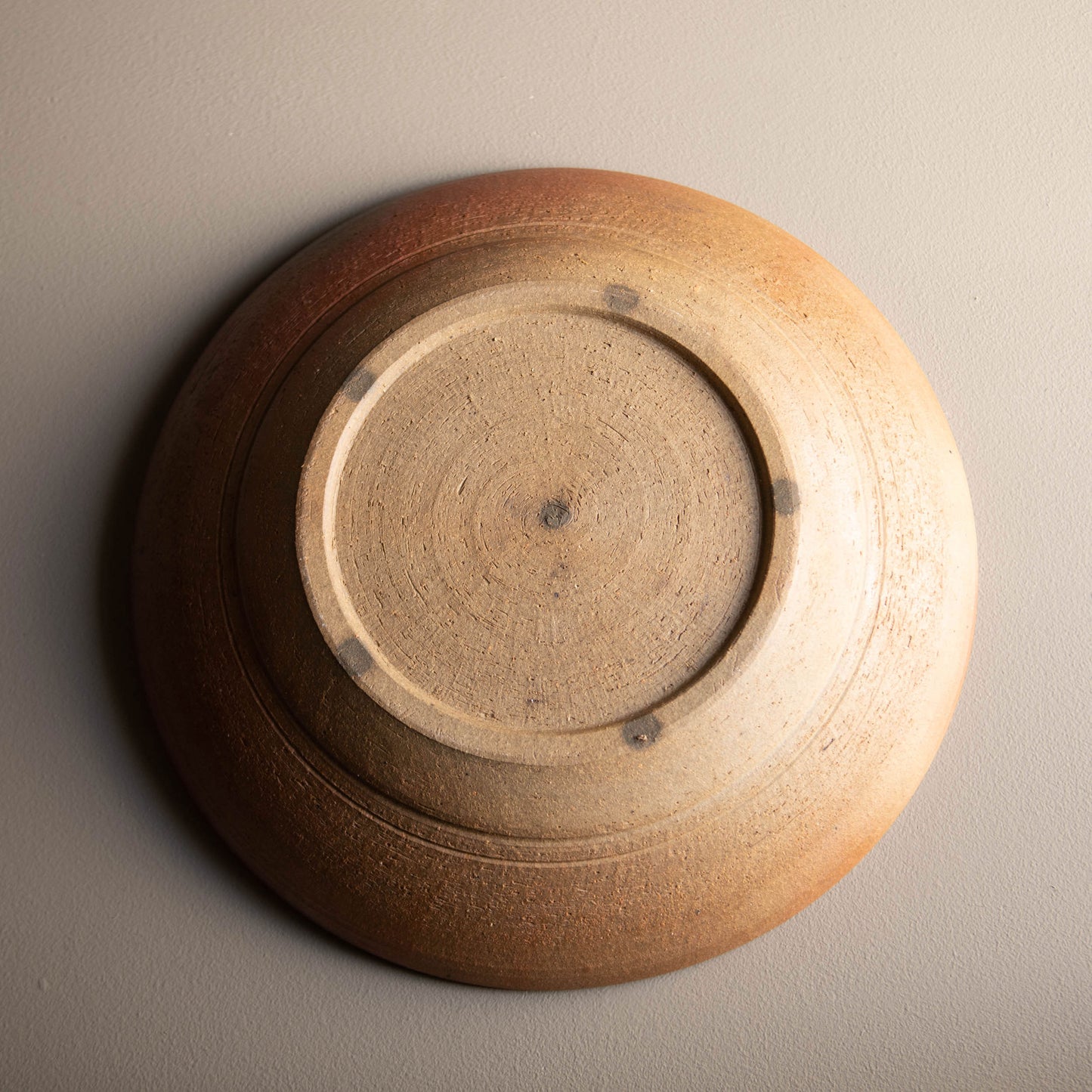 Large Dish