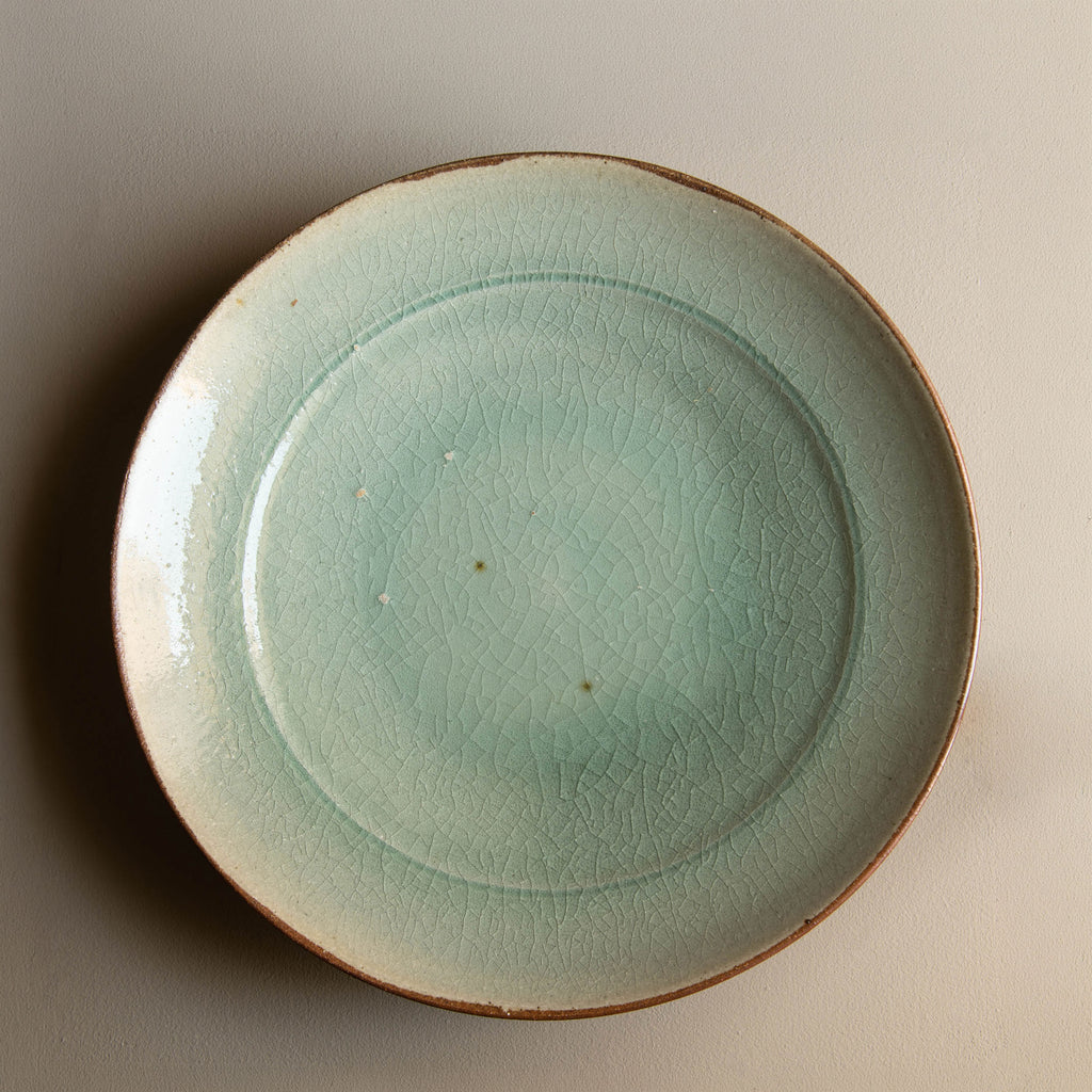 Large Dish
