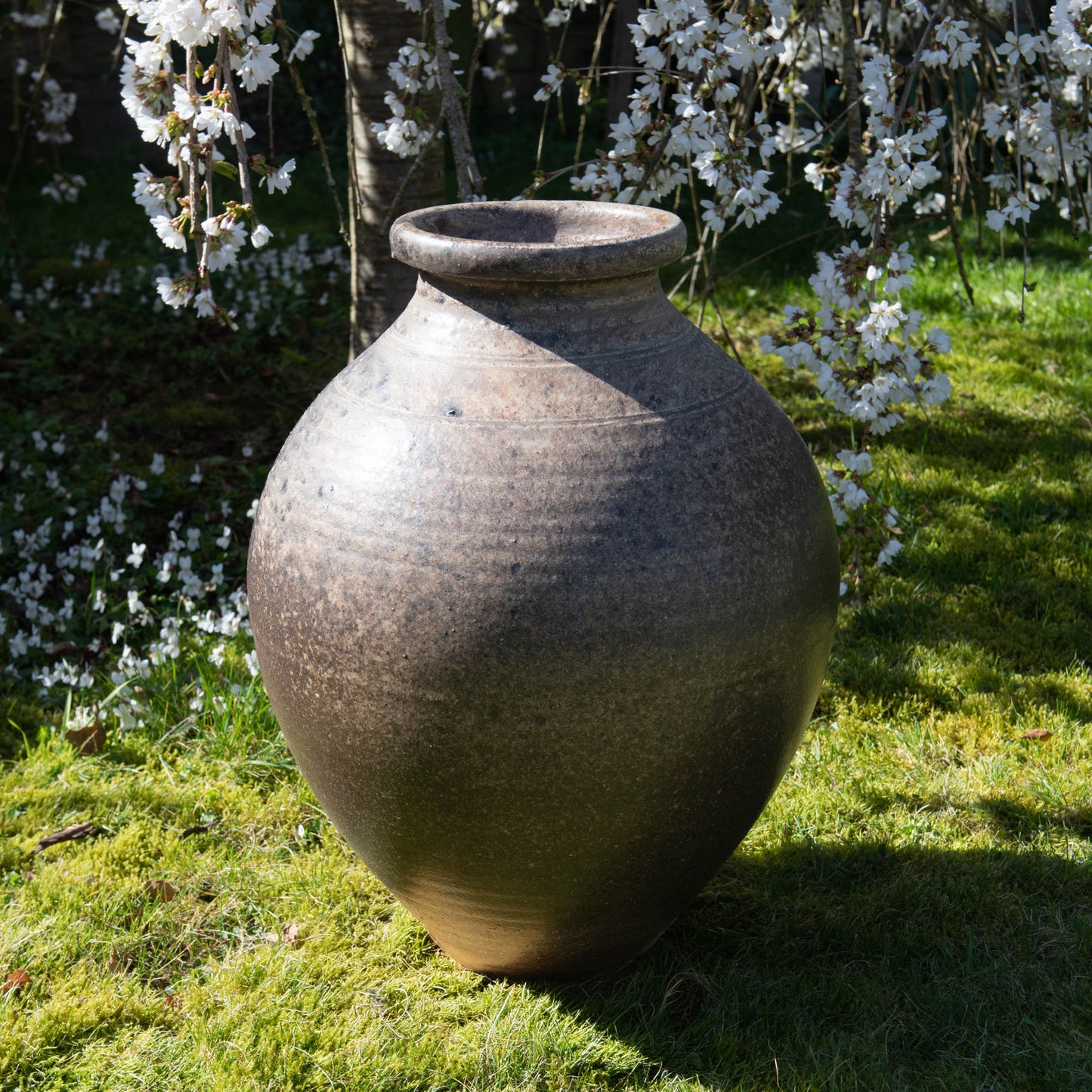 Large Jar