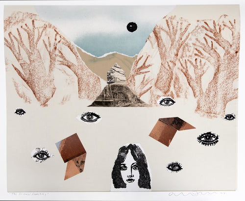 The Princess Searching