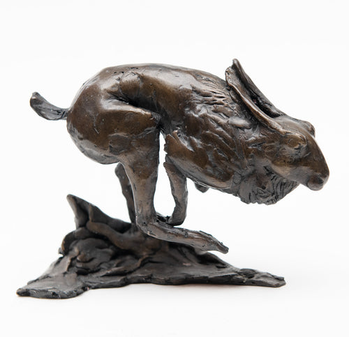 Hare Running