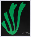 Algue Verte sur Fond Noir