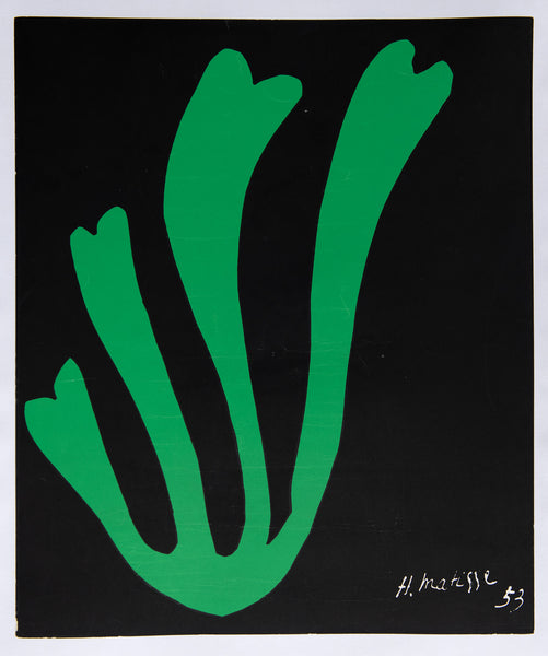 Algue Verte sur Fond Noir