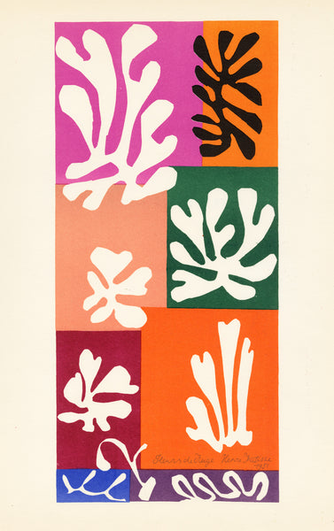 Henri Matisse Fleurs de Neige – Goldmark