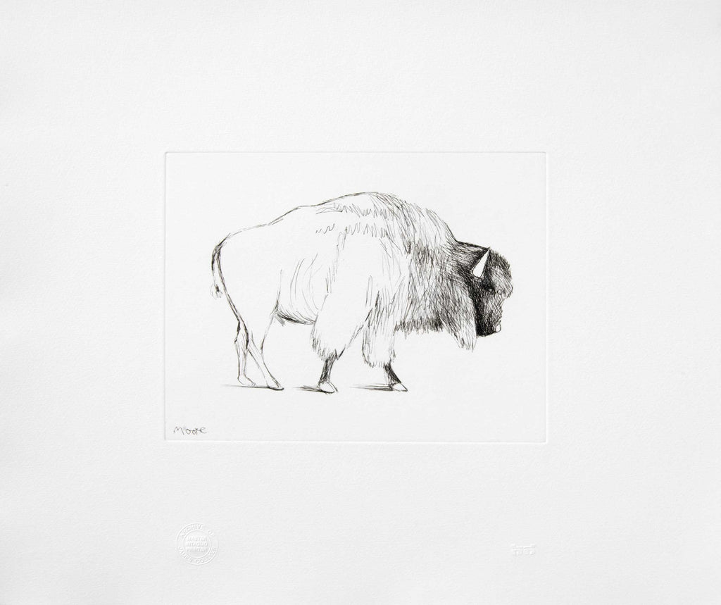 Bison
