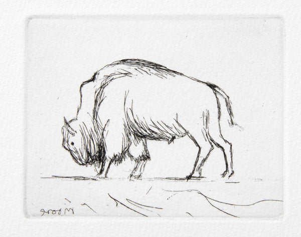 Bison