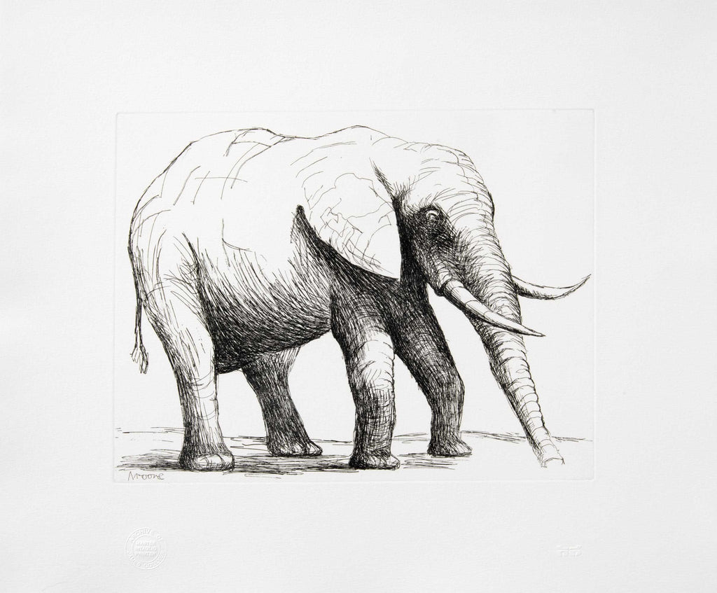 Elephant