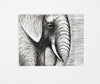 Elephant's Head