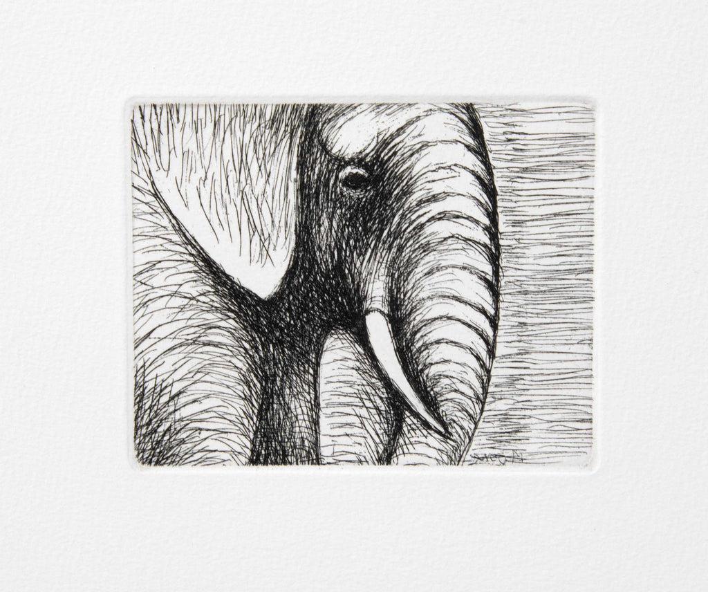 Elephant's Head