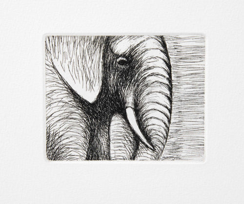 Elephant's Head
