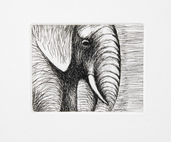 Elephant's Head