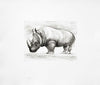 Rhinoceros