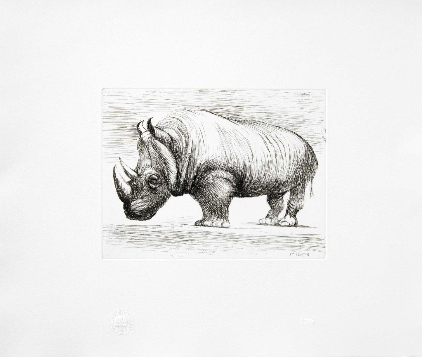 Rhinoceros