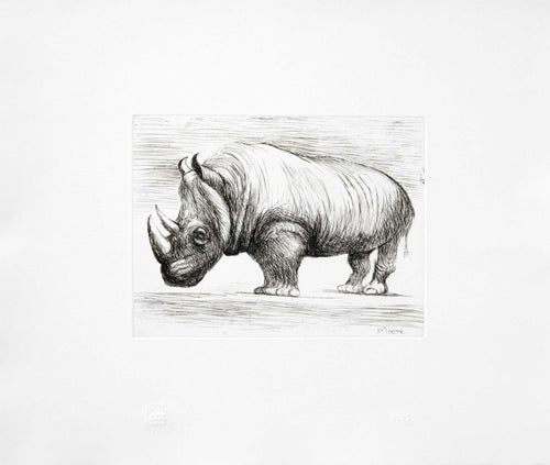 Rhinoceros