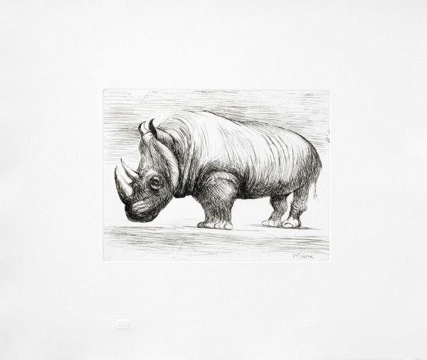 Rhinoceros