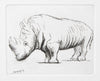 Rhinoceros