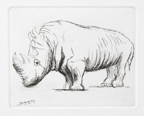 Rhinoceros