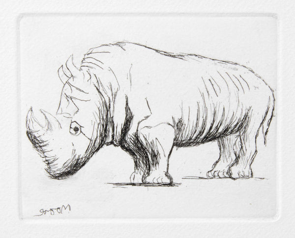 Rhinoceros