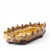 Whimsical Dish