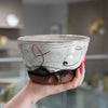 Big Bowl
