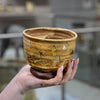 Small Bowl