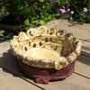 Whimsical Dish