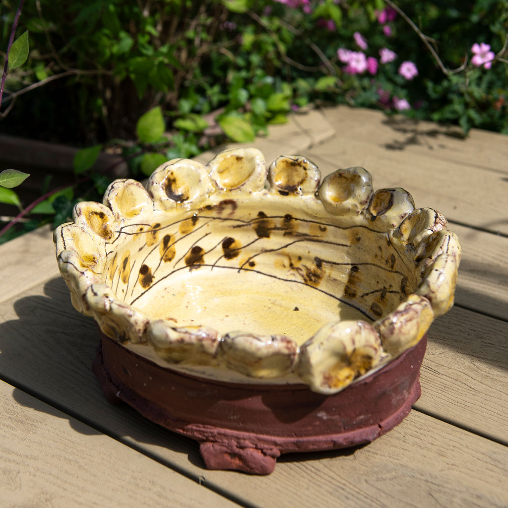 Whimsical Dish