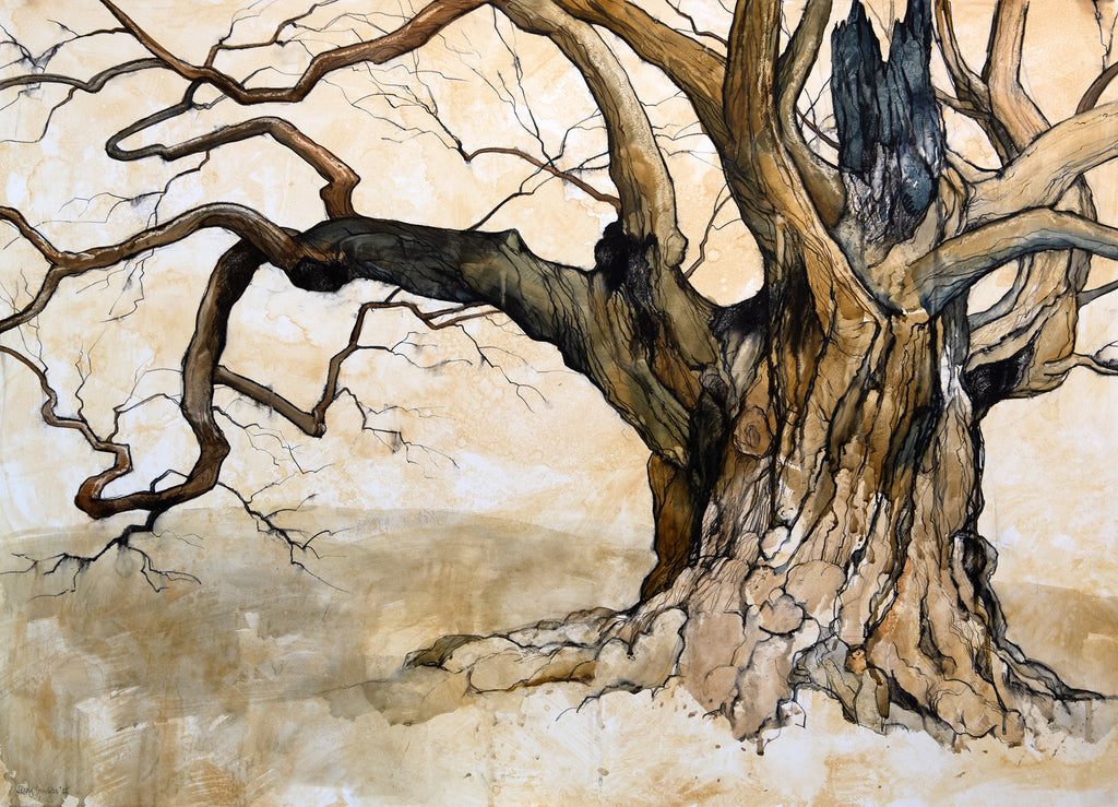 Ancient Sweet Chestnut Tree, Burghley