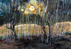Birches by Moonlight