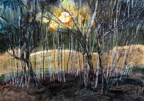Birches by Moonlight