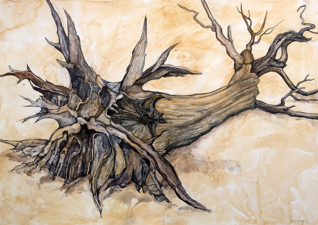 Portrait of the 'Shipwreck Tree'