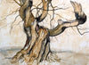 The Ancient Dragon Tree, Burghley