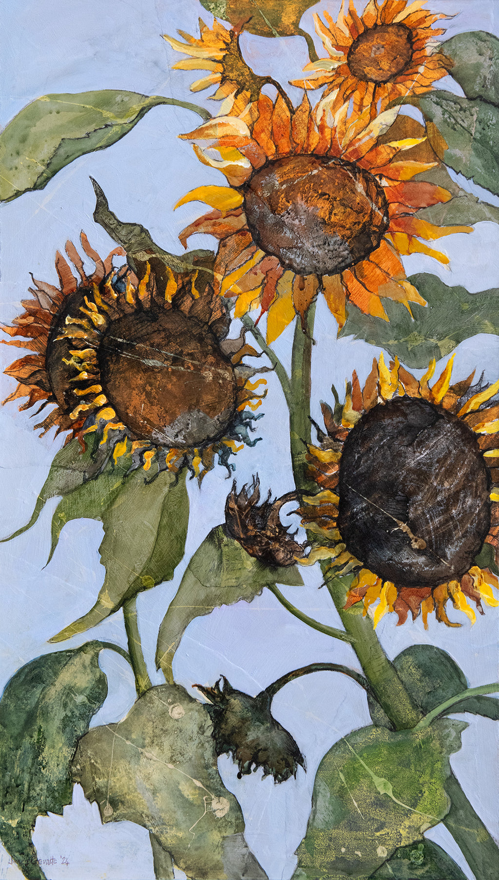 The Tallest Sunflowers