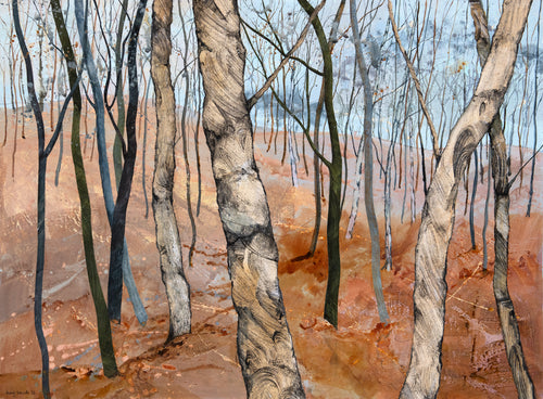 Bank of Young Saplings