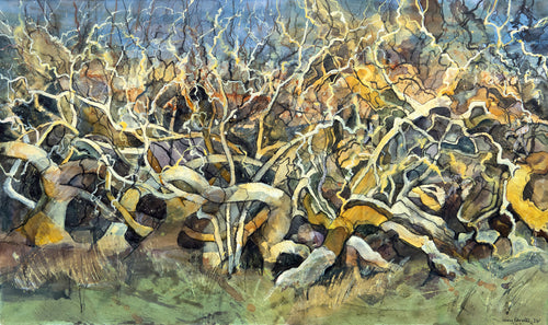 Twist and turns hawthorn hedge